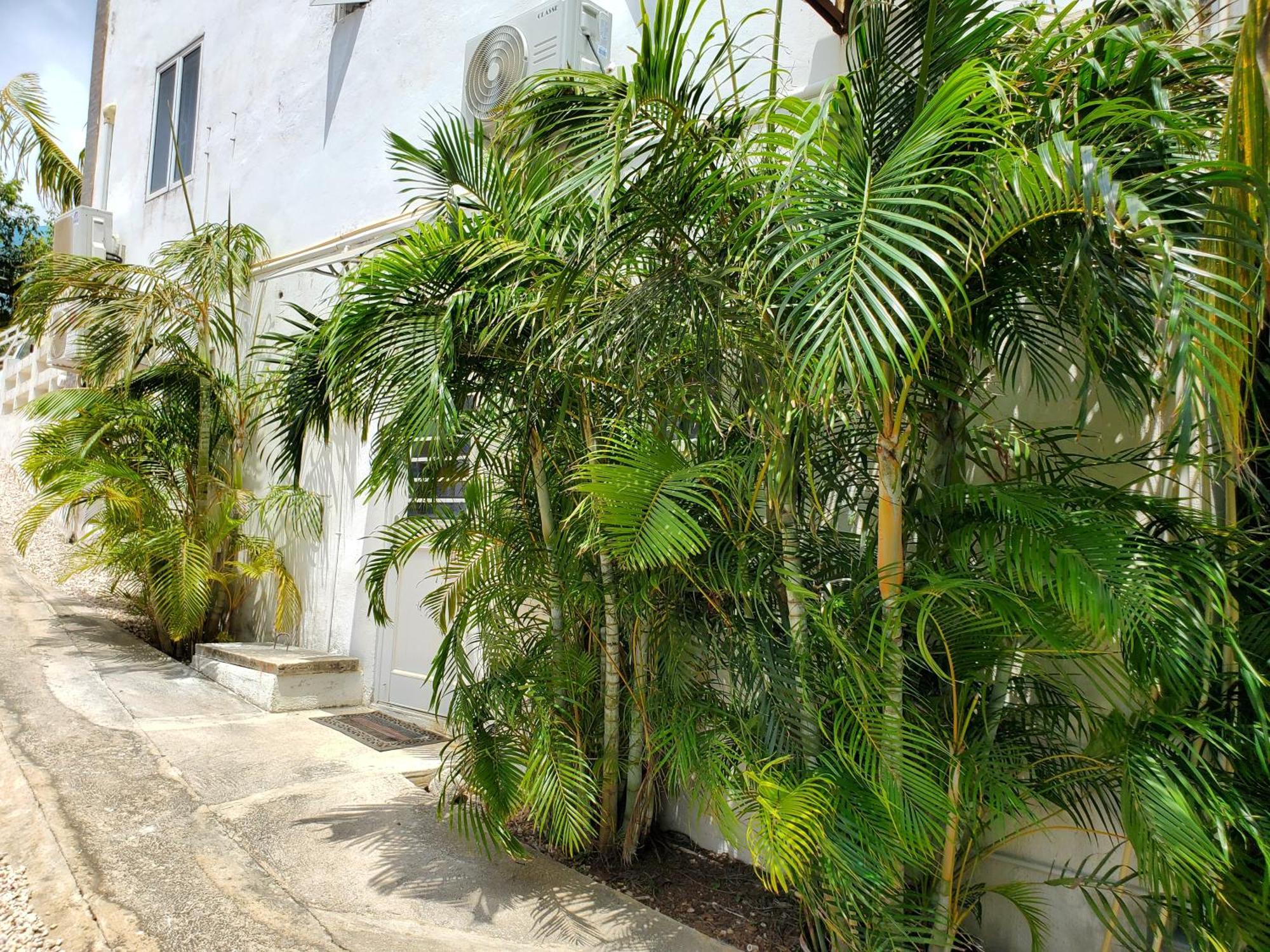 Grand Sun Valley Residences Willemstad Eksteriør billede